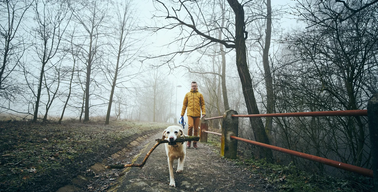 Man walking his dog in chilly weather. iStock.