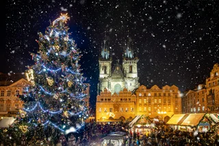 Standout Christmas trees make their way to Prague for grand reveal