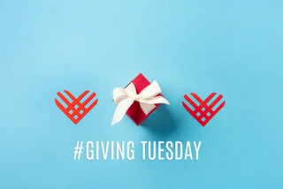 Czech charities to support this Giving Tuesday