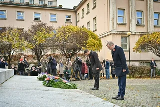 Czechia honors fallen World War I soldiers on Veterans' Day