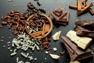 Let them eat crickets: We tried and tested Czech-made insect chocolate