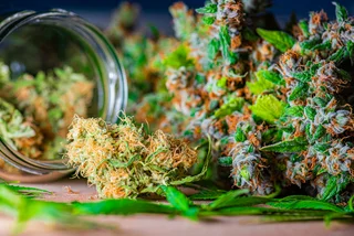 Cannabis buds in a jar. Photo: iStock, Rocky89.