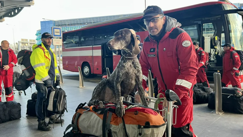 A Czech search dog is ready to depart for Turkey. Photo: Twitter, @EU Civil Protection & Humanitarian Aid