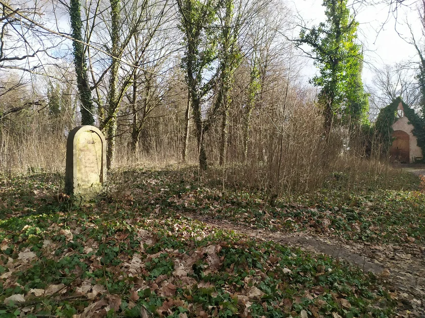Headstone surrounded by unmarked graves. Photo: Raymond Johnston