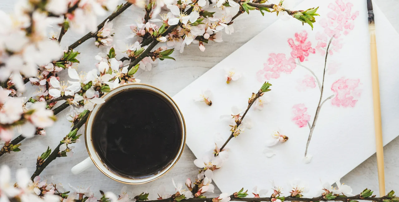 Spring cup of coffee. Photo: iStock /