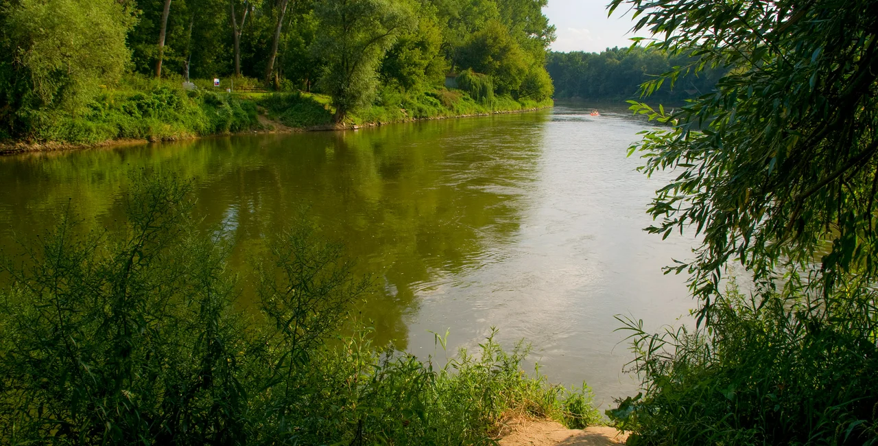 View of the Soutok area. Photo by Jan Miklín.