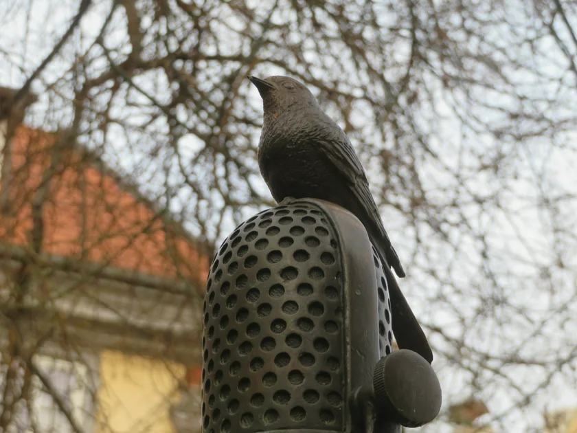 Microphone with a lark in Malá Strana. Photo: Raymond Johnston