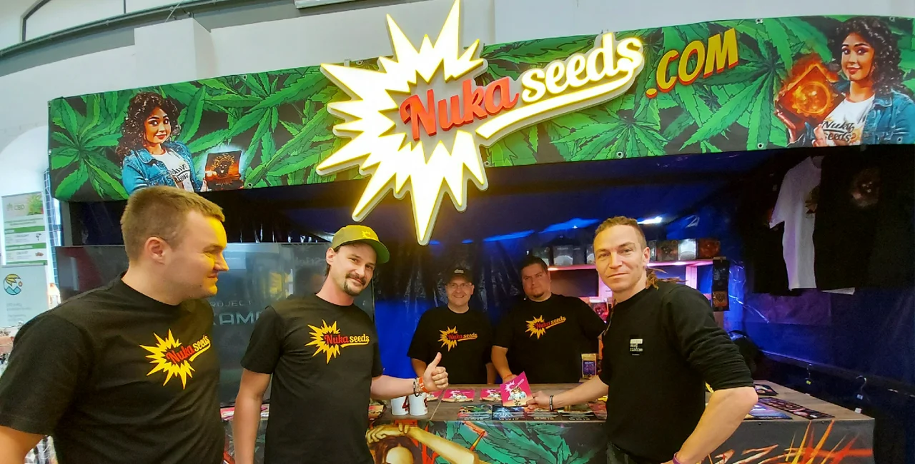 Czechs mark '420' with annual Konopex cannabis festival