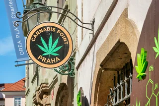 '420' is here: How much do you know about cannabis in Czechia?