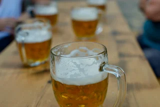 Hop-ocalypse: Beer tax hike to leave small Czech pubs and restaurants struggling