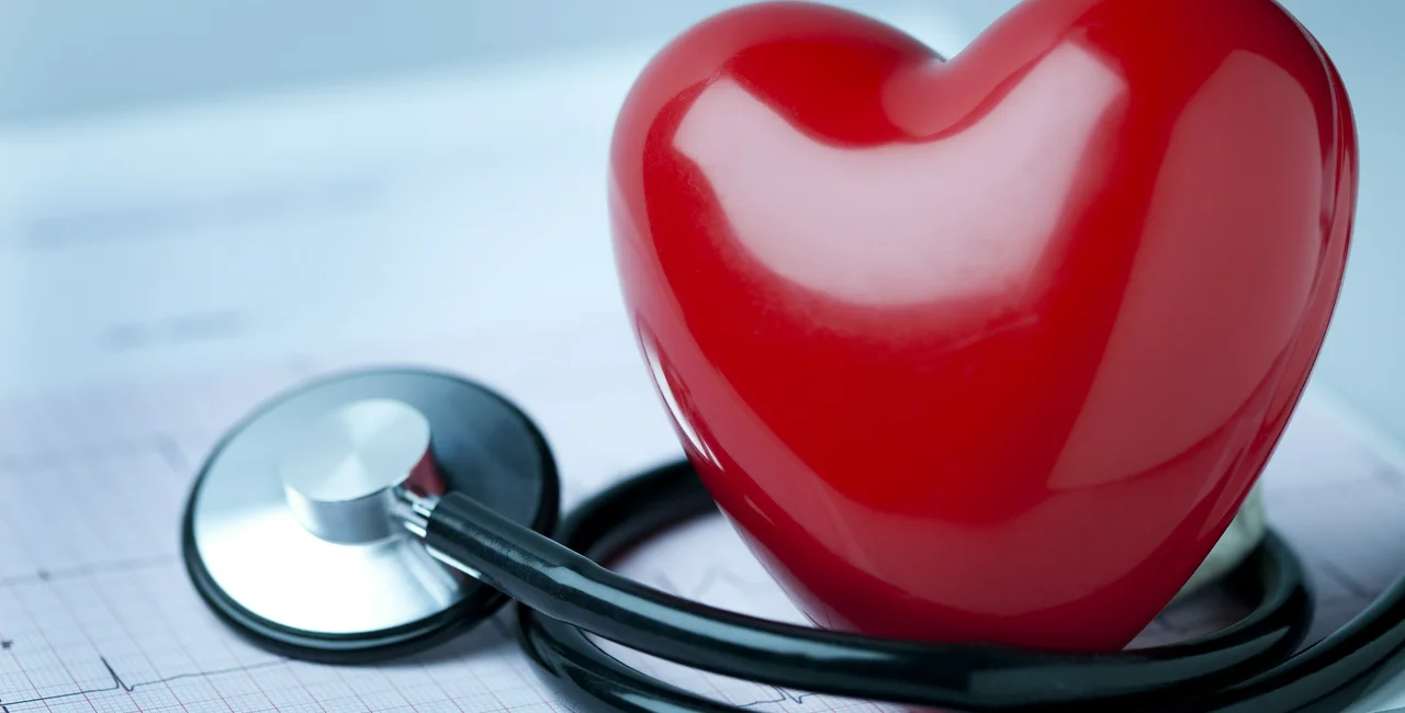 Heart diseases return as the leading cause of death in Czechia