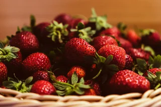 Self-pick or delivery: Prague's strawberry season is summer in a basket