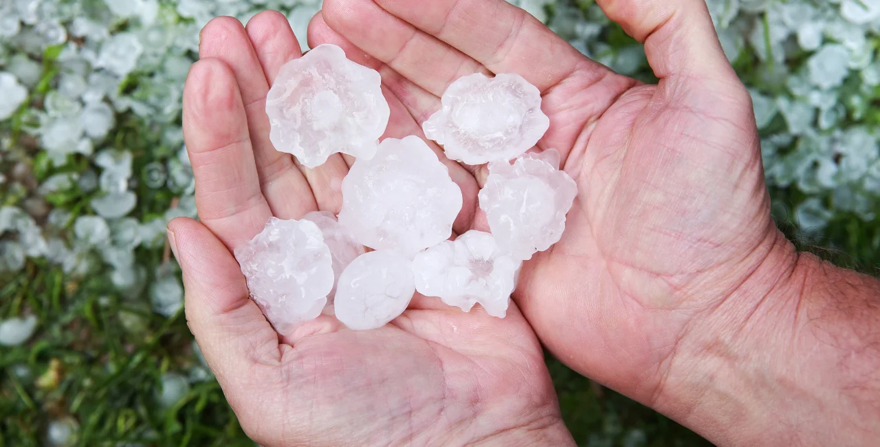 Some regions of Czechia saw 4-cm-wide hail through the weekend. Illustrative image / soupstock