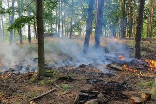A small forest fire in Central Bohemia. Photo: HZS Středočeského kraje, Twitter