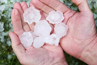 News in brief for July 31: Top headlines in Czechia for Monday