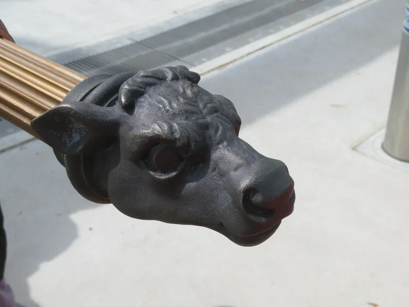 Cow head on the bridge railing. Photo: Raymond Johnston