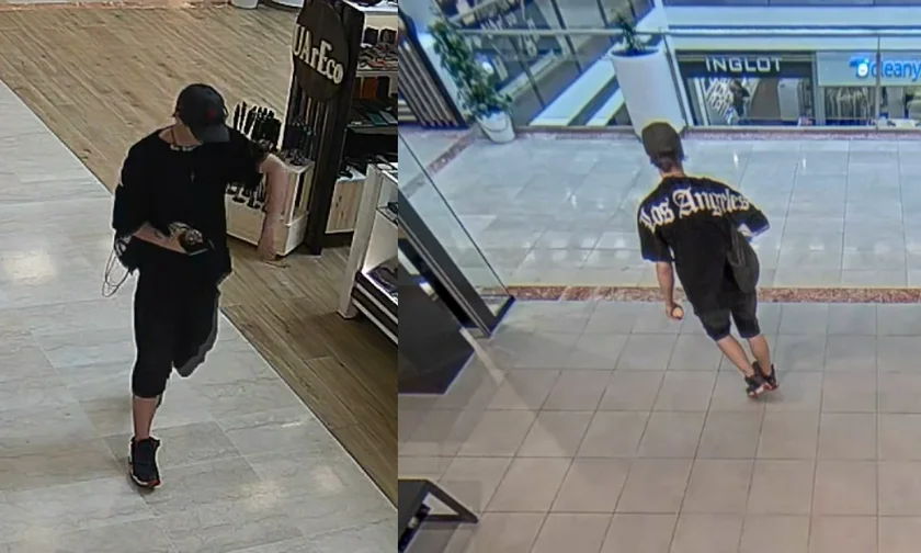 Police are seeking a suspected thief. Photo: Prague Police
