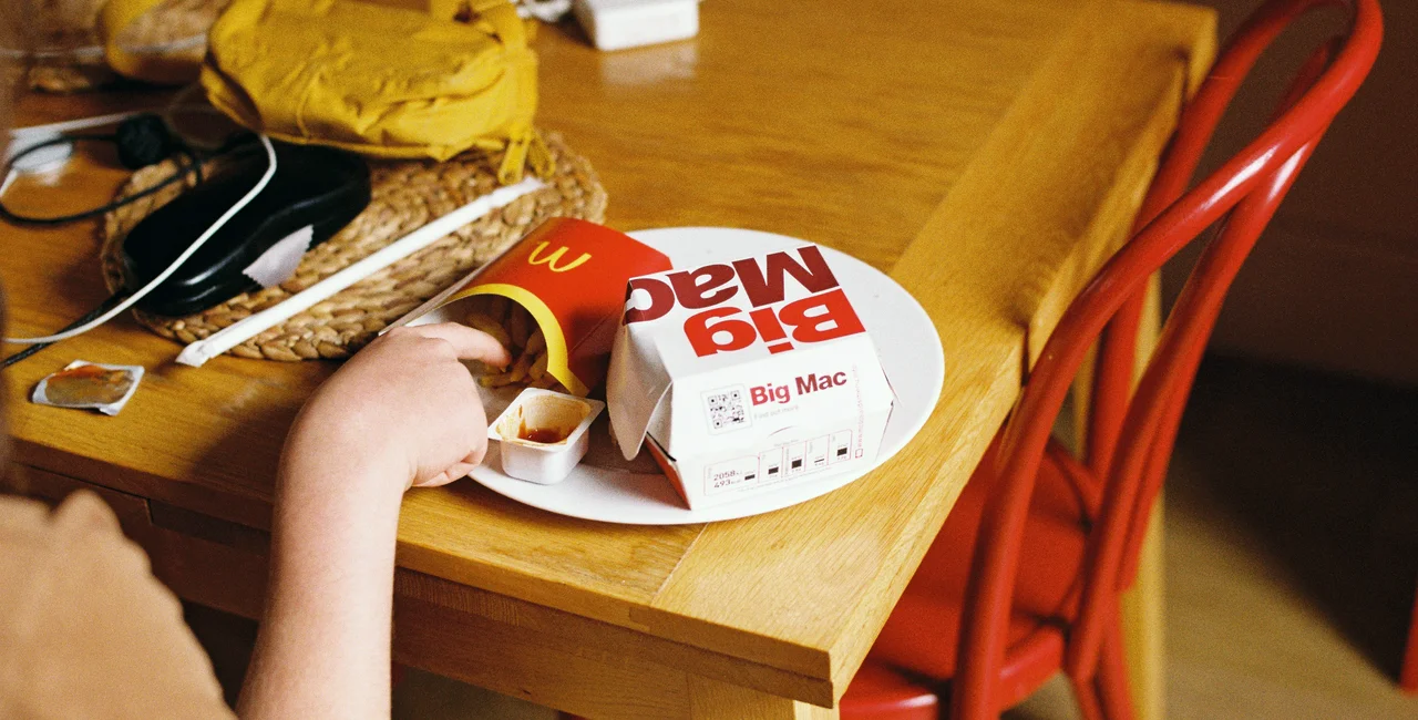Big Mac and fries. Photo by Annie Spratt on Unsplash