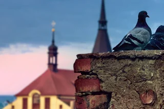 News in brief for Aug. 2: Top headlines in Czechia for Wednesday