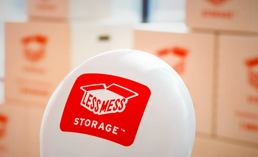Less Mess Storage 08-2023 IMG_9417_Large CROP