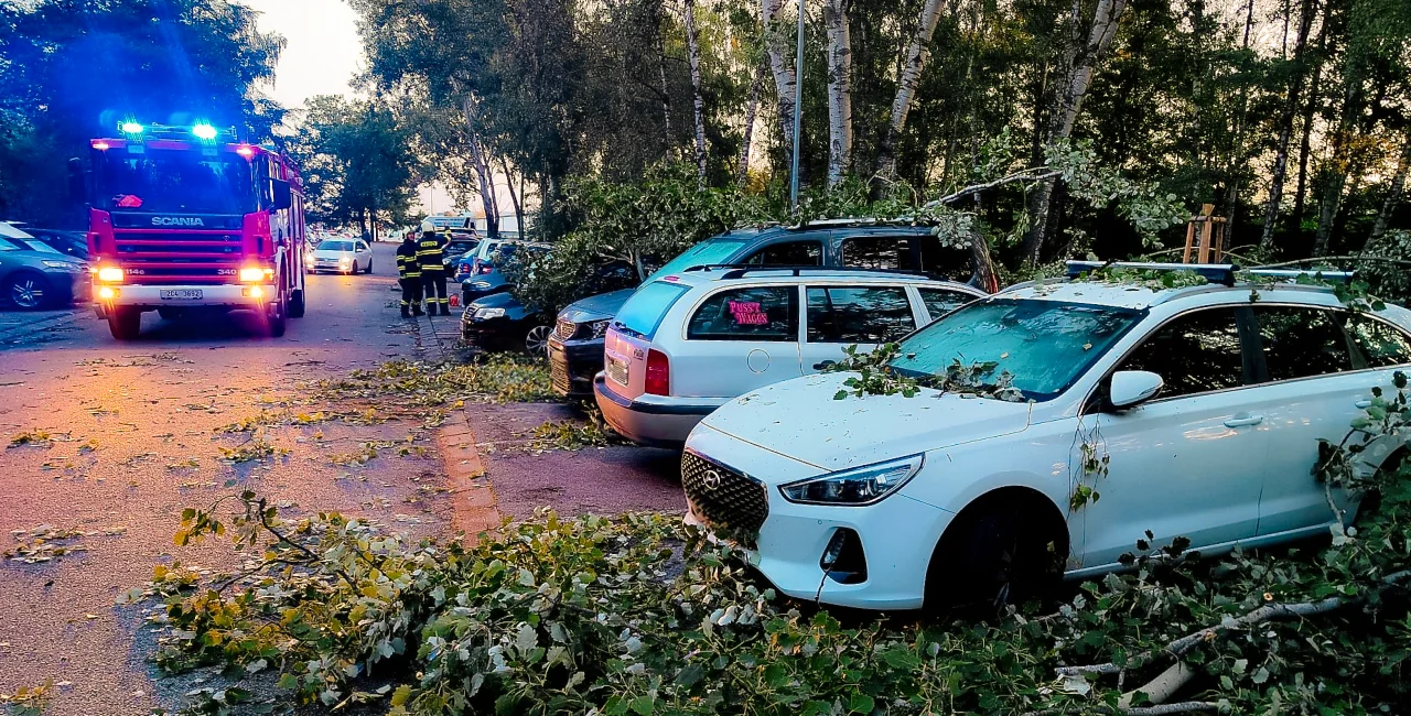 Storms and heavy winds cause chaos across parts of Czechia