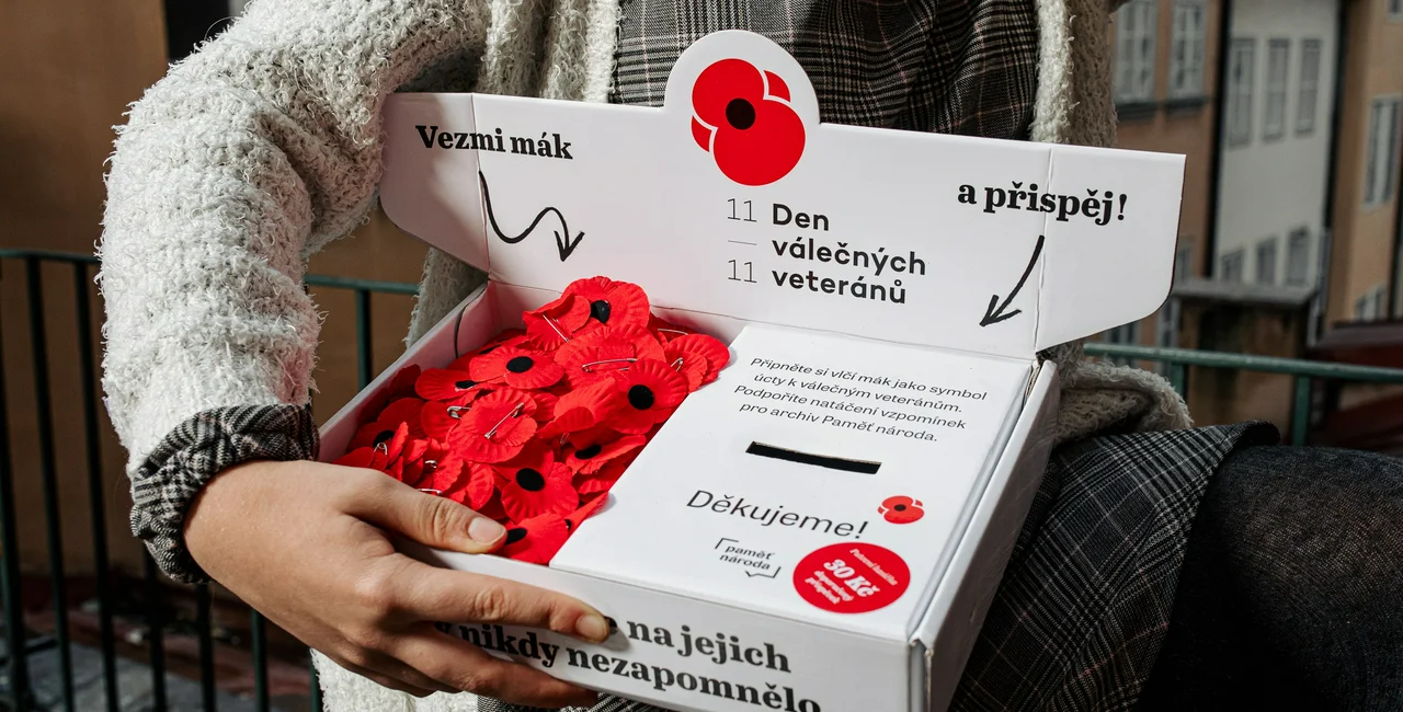 Paying memory: Poppies appear on sale across country to mark Veterans Day