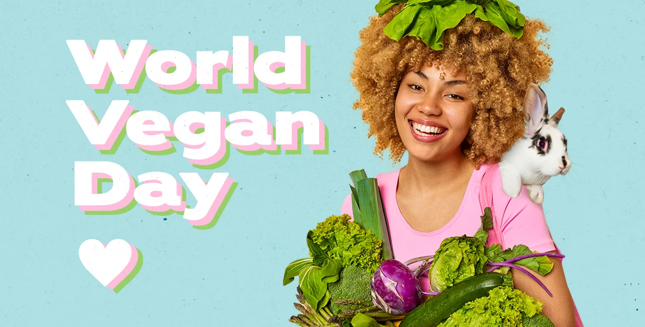 Plant-based in Czechia: 10 articles to bookmark on World Vegan Day