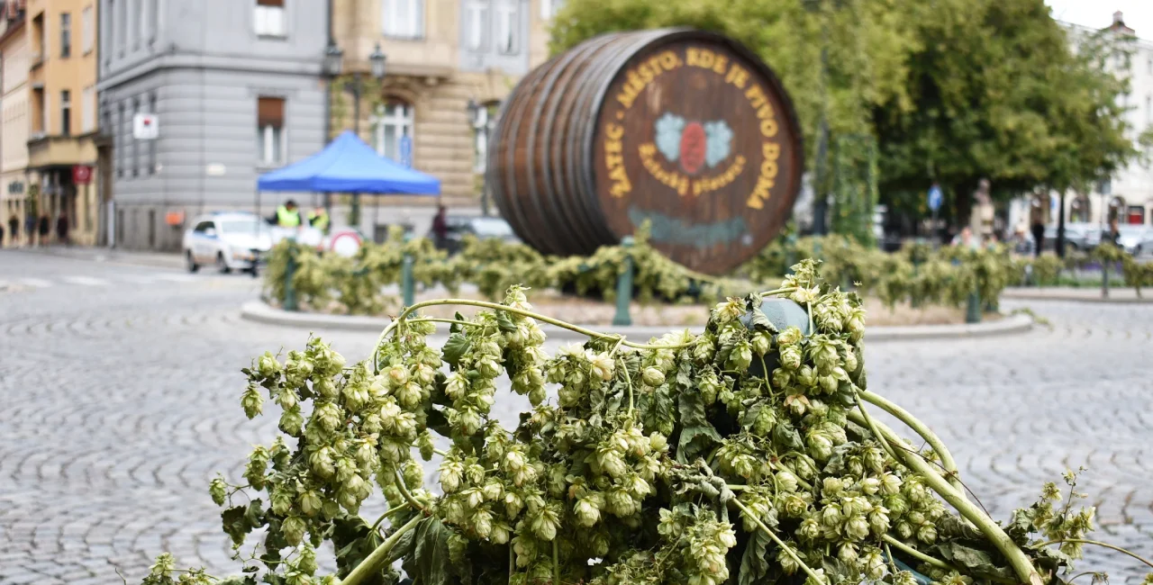 Czech hops town Žatec officially receives UNESCO World Heritage inscription