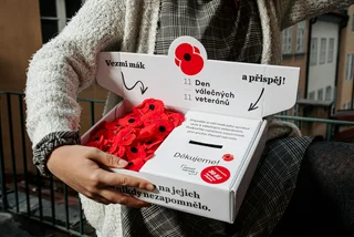 Paying memory: Poppies appear on sale across country to mark Veterans Day