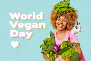 Plant-based in Czechia: 10 articles to bookmark on World Vegan Day