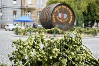 Czech hops town Žatec officially receives UNESCO World Heritage inscription