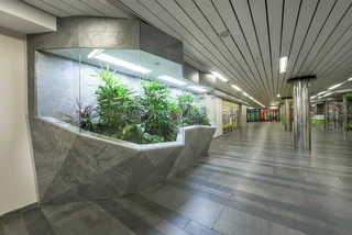 Prague's green line gets greener with new plant life at Můstek metro station