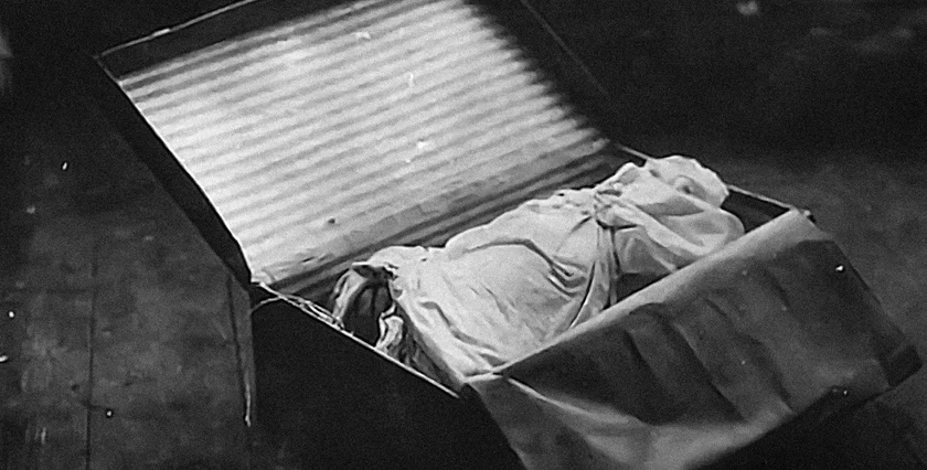 A case containing body parts of Otýlie Vranská (Photo: Czech Police Museum)