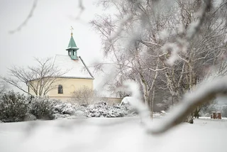 Prague's Botanical Garden rings in the season with Christmas exhibition