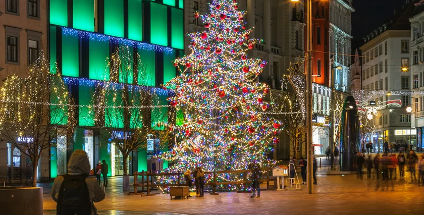 Brno Christmas tree in 2019. Photo: iStock / PatrikSlezak
