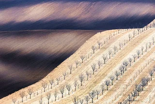Moravia deemed one of the world's most photogenic landscapes