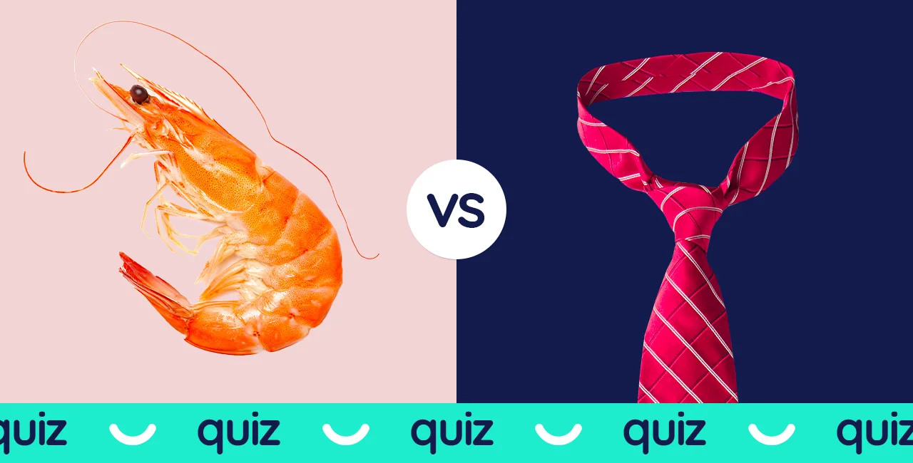QUIZ: Test your Czech vocabulary with these tricky word pairs