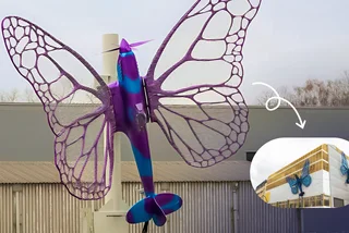 Controversial butterfly sculptures to adorn Prague's Máj department store