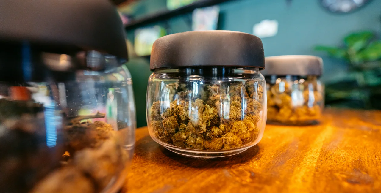 Glass jars filled with cannabis buds. Photo: iStock / urbazon