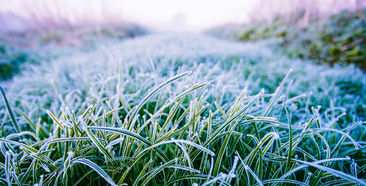 Illustrative image of ground frost. Photo: iStock/