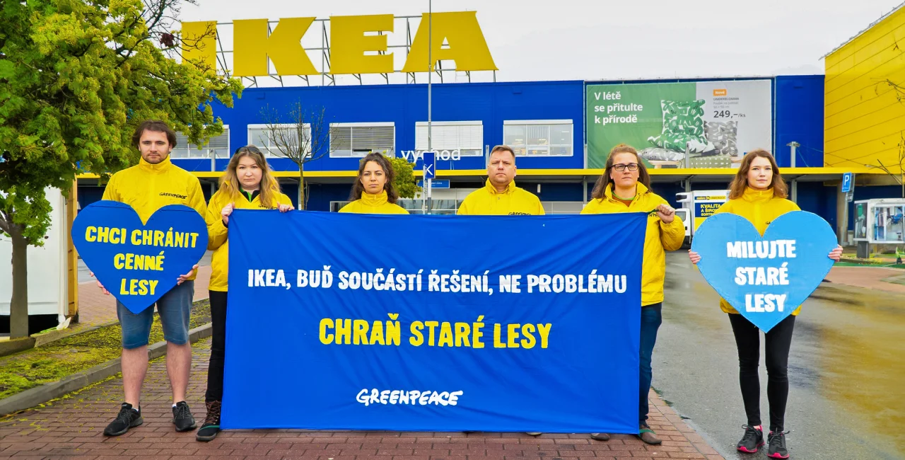 Greenpeace protests primeval forest destruction outside Prague IKEA