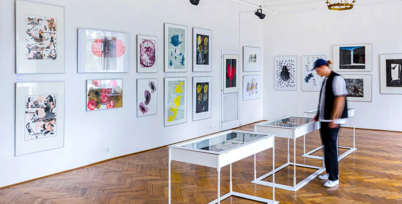 Photo of Hollar Gallery/Museum Night