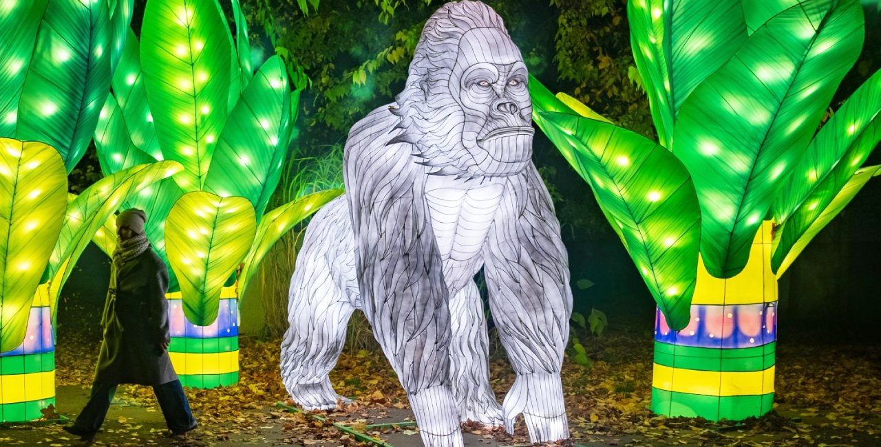 Garden of Lights: New illuminated evening exhibit opens in Prague
