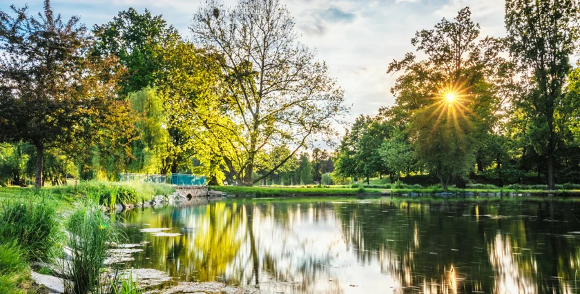 Stromovka Park in Prague. Photo: Shutterstock / Kaca Skokanova