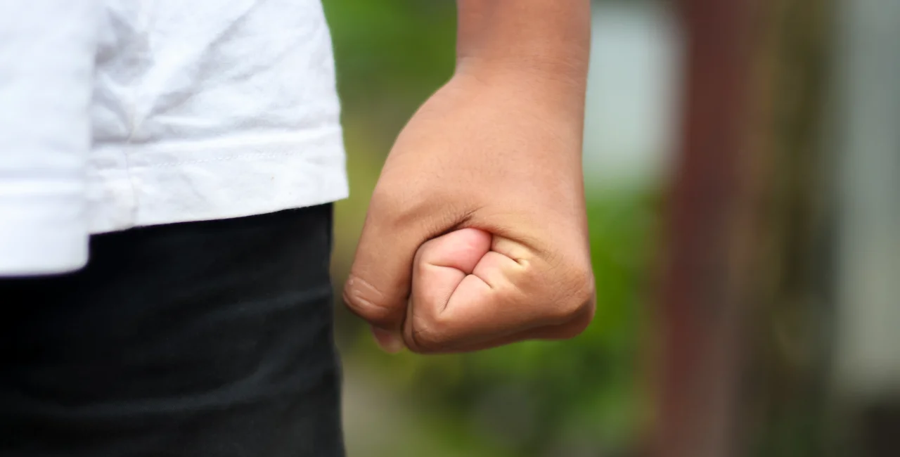Vigilante schoolchildren ambush alleged child predator in Czech forest