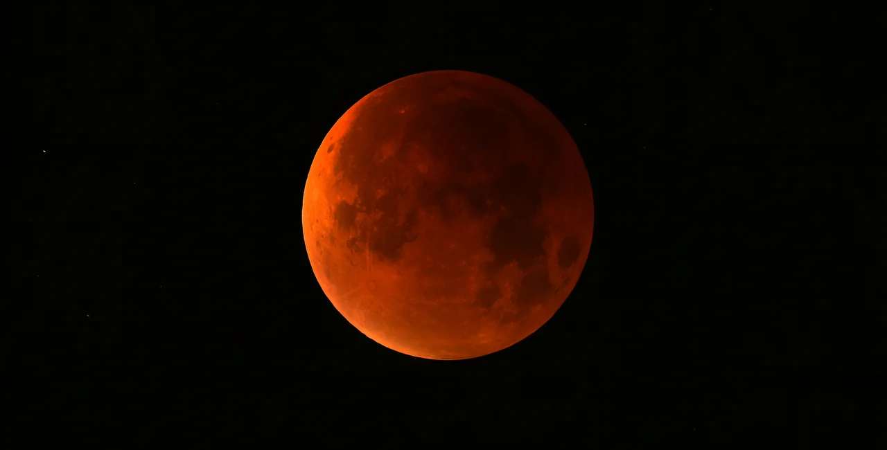 Shutterstock/Justinas Vitkus