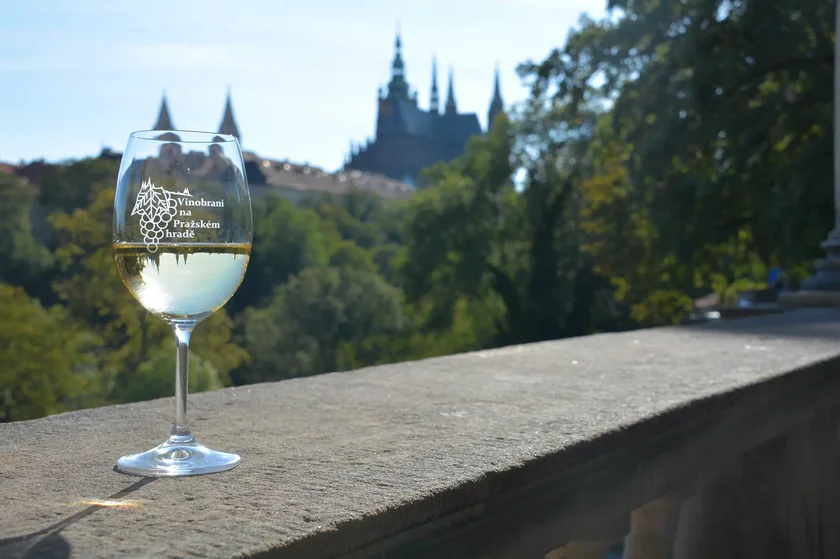 Vintage harvest at Prague Castle via SPH