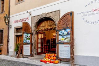 Czechia’s autumn holidays: Shopping changes, free museums, and rare open houses