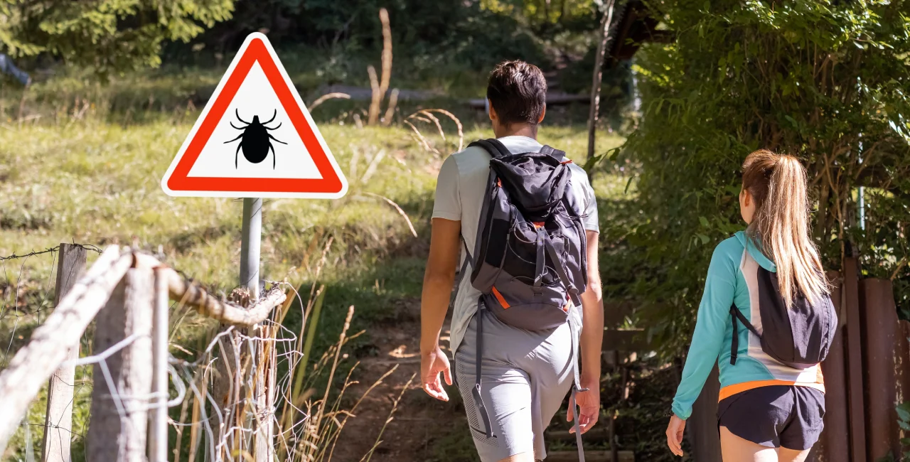 Hiking through a tick-infested forest. Photo: Shutterstock / 24K-Production