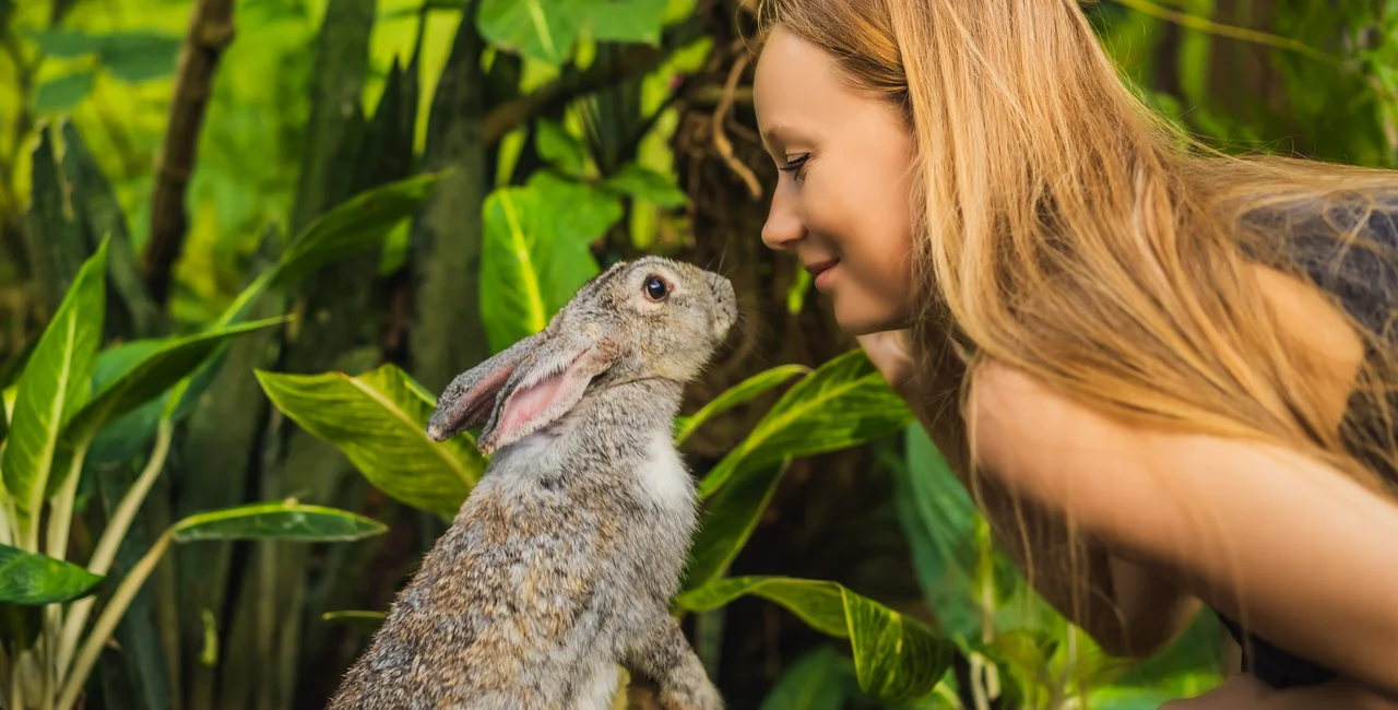 Czechia is moving toward a more ethical future for science—and you can be part of it